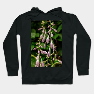 Hosta Flowers In The Garden Hoodie